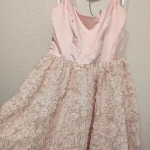 David's Bridal Fifteen Roses Damas